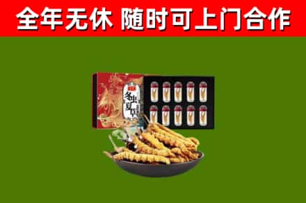 新蔡县回收冬虫夏草价格
